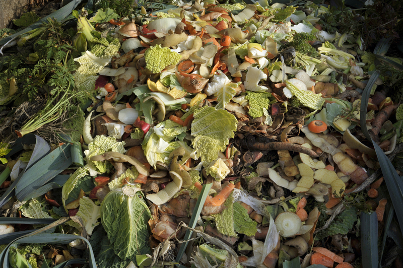 Easy Steps to Responsible Packaging and Cardboard Disposal